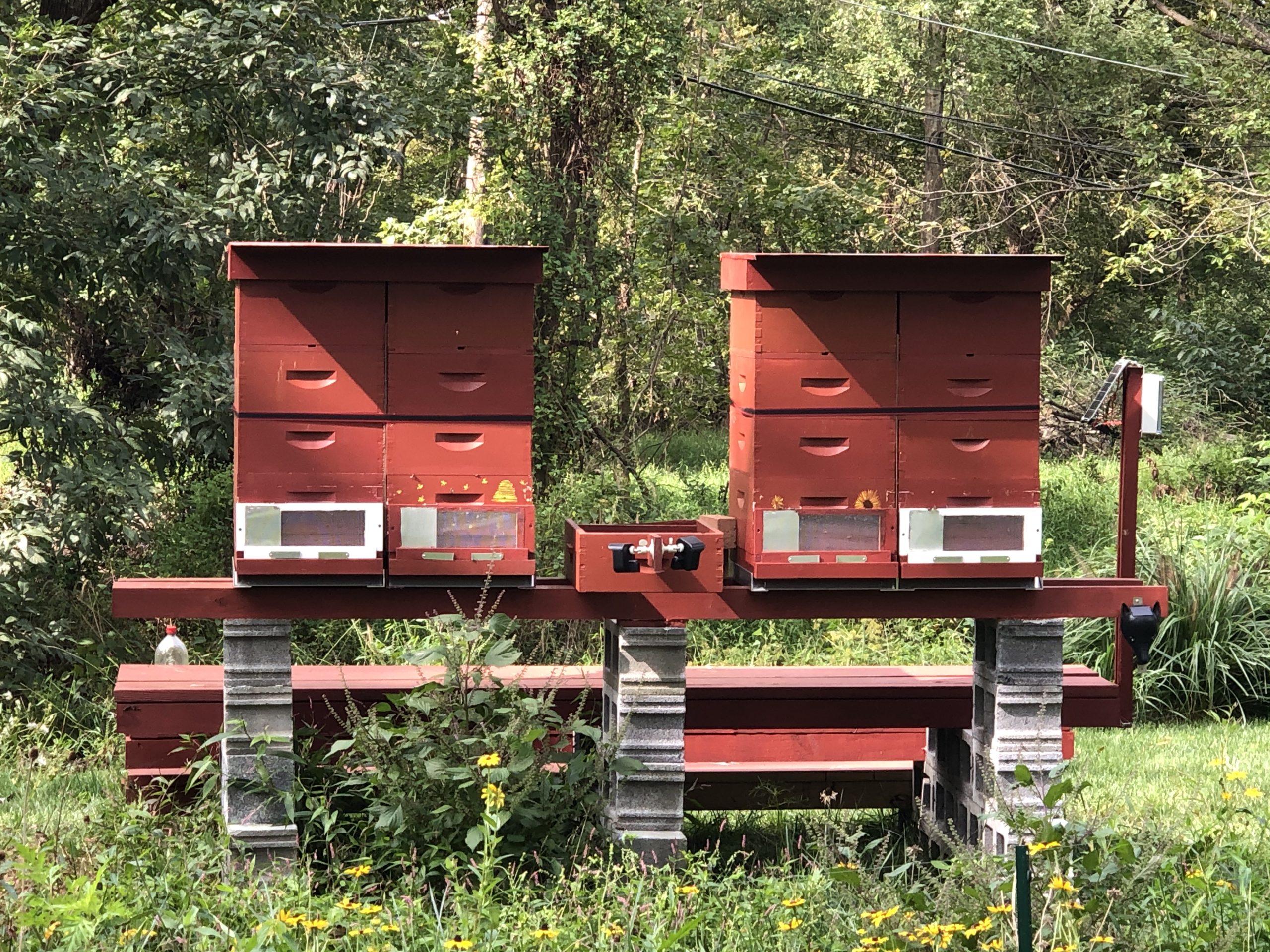 Duplex Hives