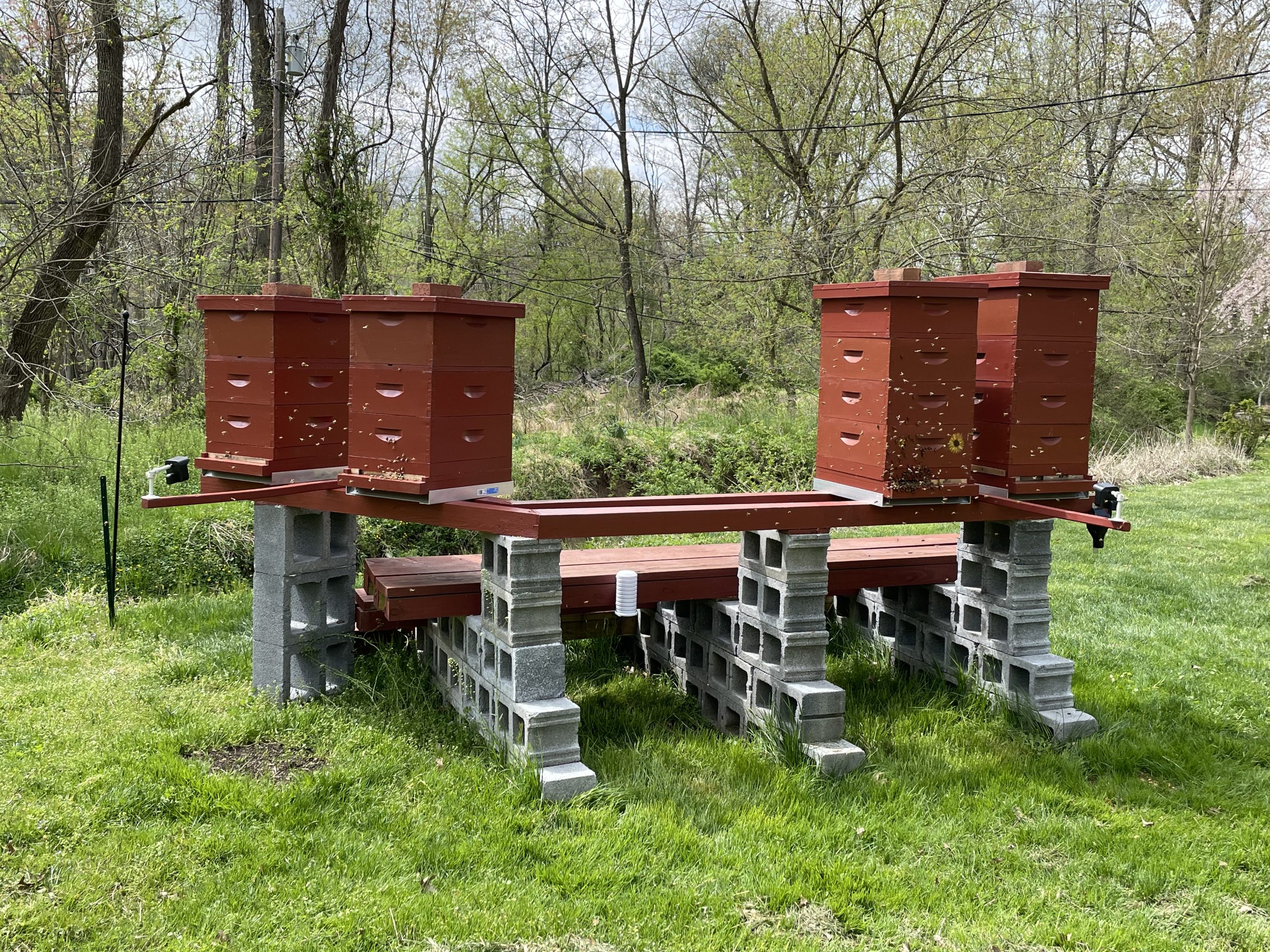 Spring 2021 hive setup