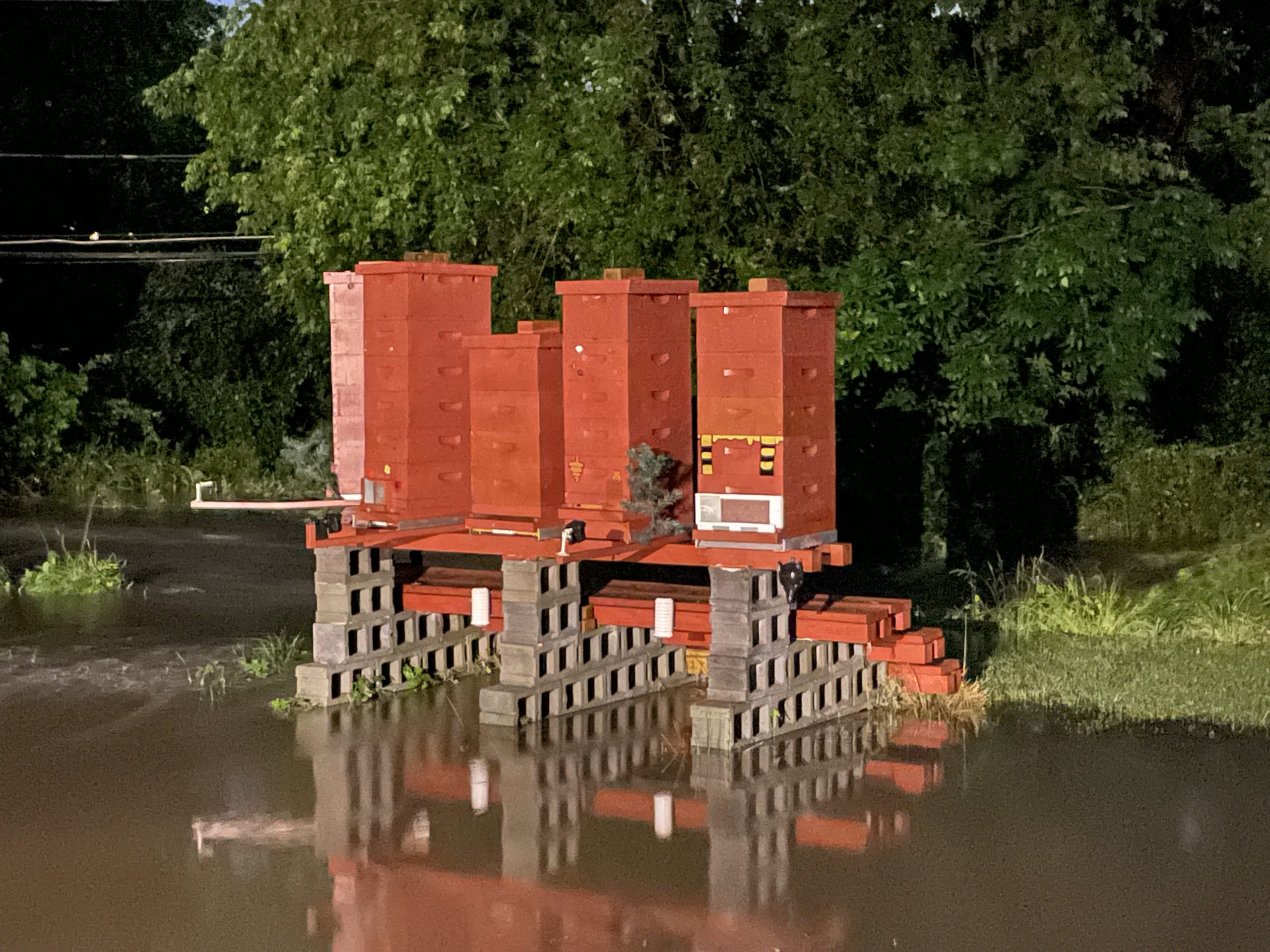 Hives during flood