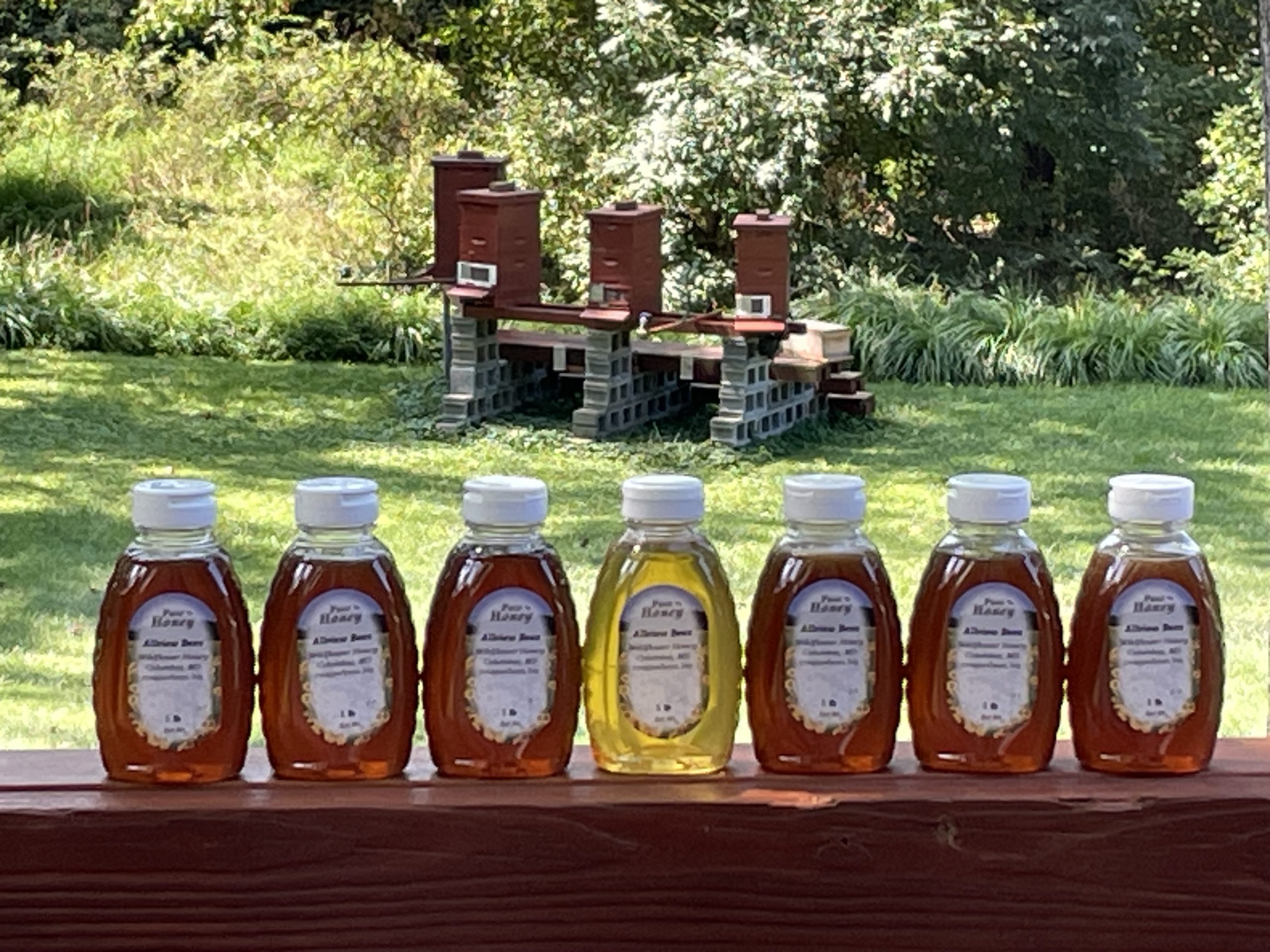 Unusual Nectar Source Makes MORE Honey Available!